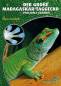 Preview: Der Große Madagaskar-Taggecko